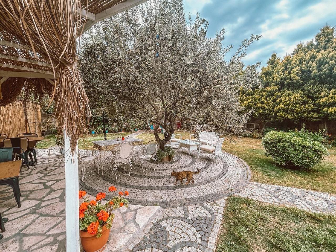 Eden Selene Hotel Ayvalı Buitenkant foto