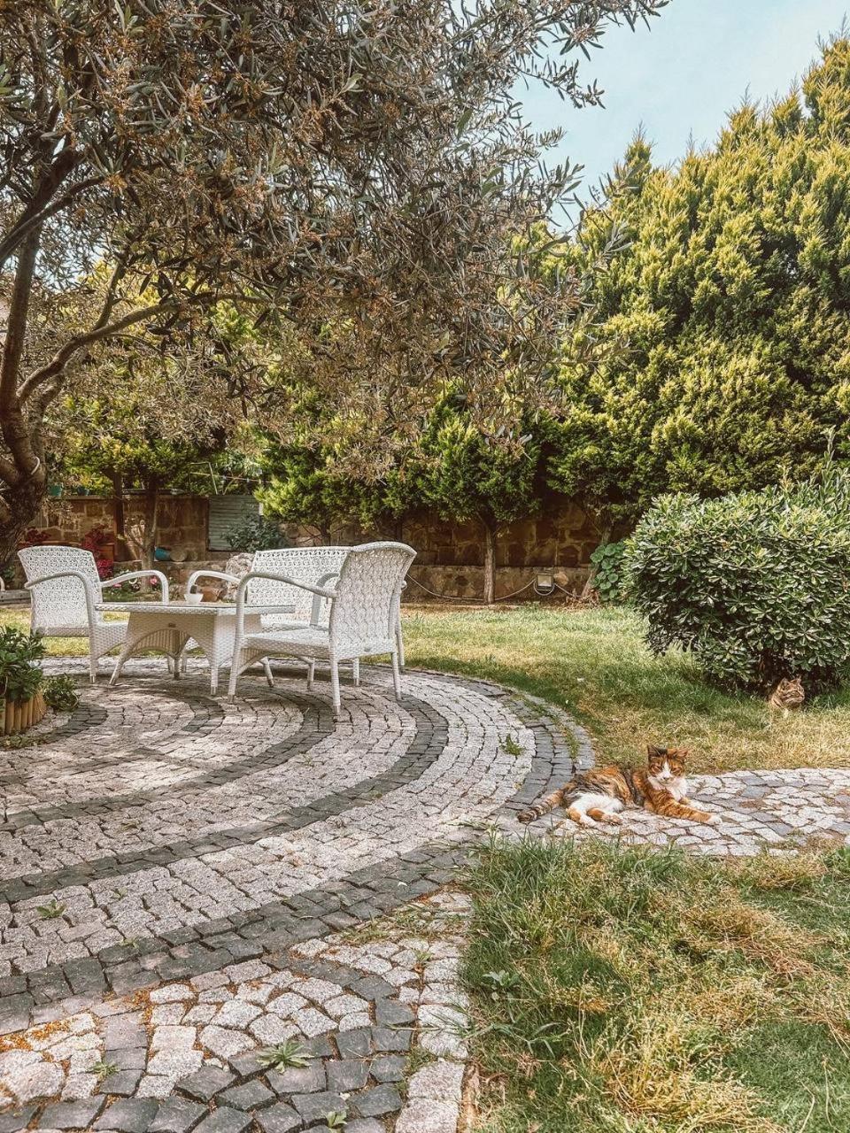 Eden Selene Hotel Ayvalı Buitenkant foto