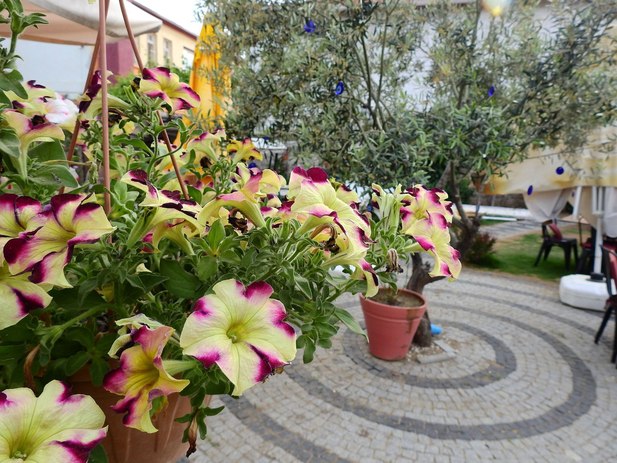 Eden Selene Hotel Ayvalı Buitenkant foto